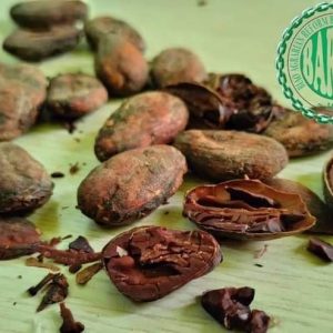 Cacao Fermented Beans