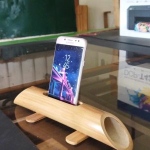 Bamboo Speaker