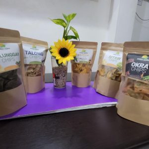 Aringay Veggies Chips